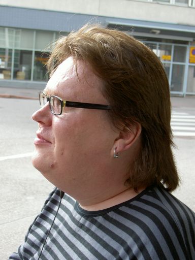 miro the mullet sivusta